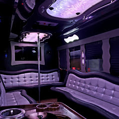 Houston Limousine and Party Bus In Down Town